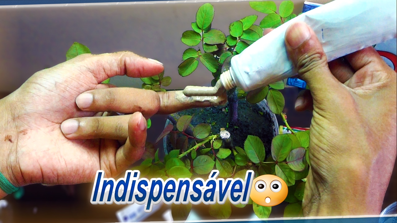 Como Fazer Pasta Cicatrizante Caseira (Para Podas, Alporquia, Bonsai+)