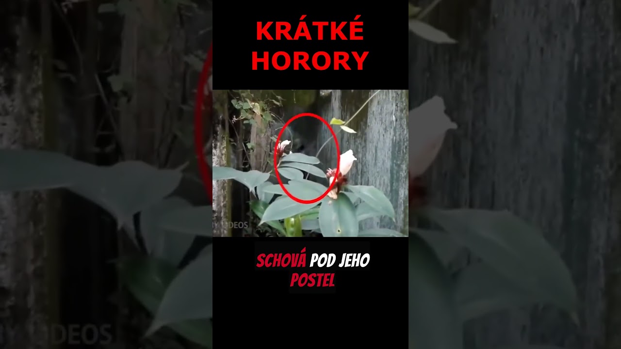 💀KR&Aacute;TK&Eacute; HORORY! ⛧👹 #horrorshorts #horror #scarystories  #kratk&eacute;horory
