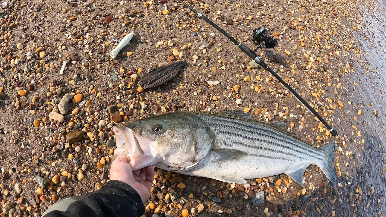 A Change of Lures Results in MONSTER Topwater Blowups While Striper Fishing