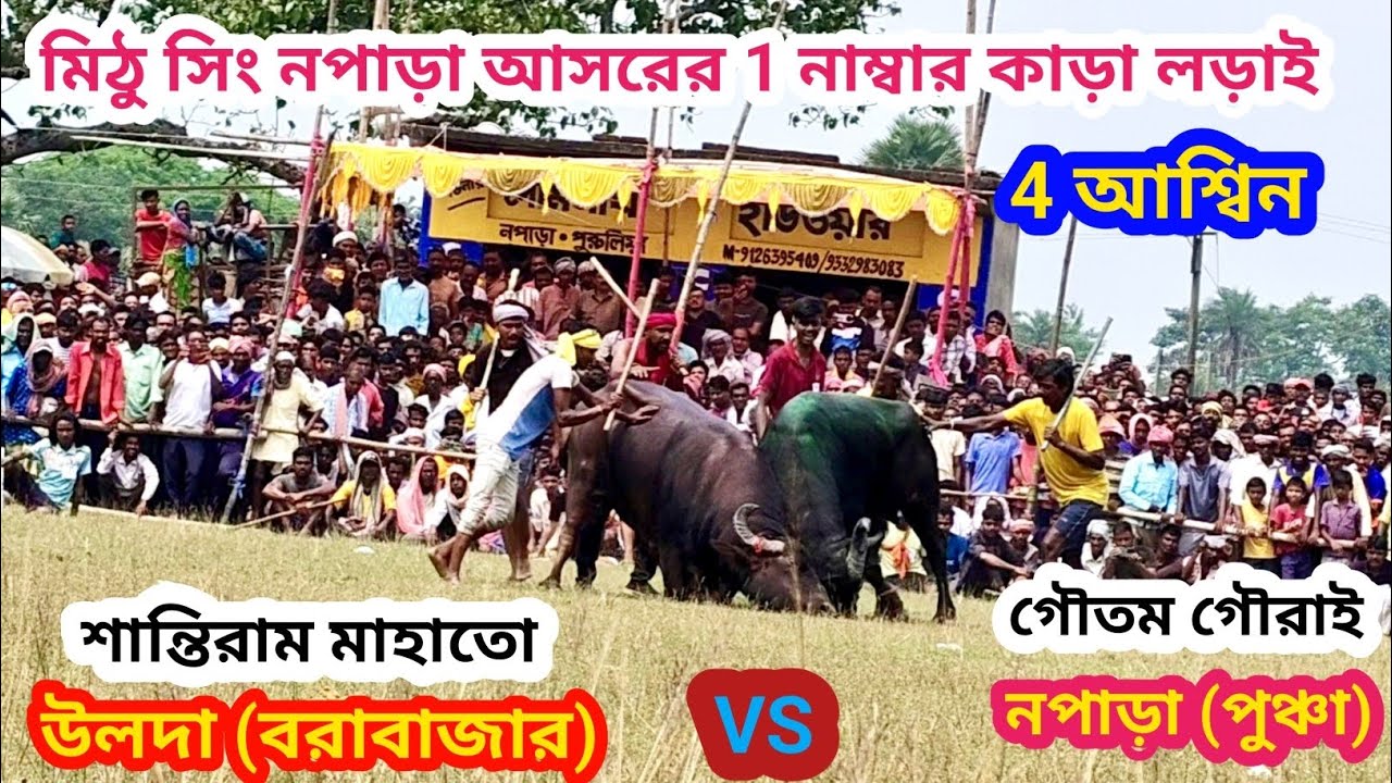 গৌতম গৌরাই নপাড়া বনাম শান্তি রাম মাহাত উলদা। নপাড়া আসরের এক নম্বর খেলা 