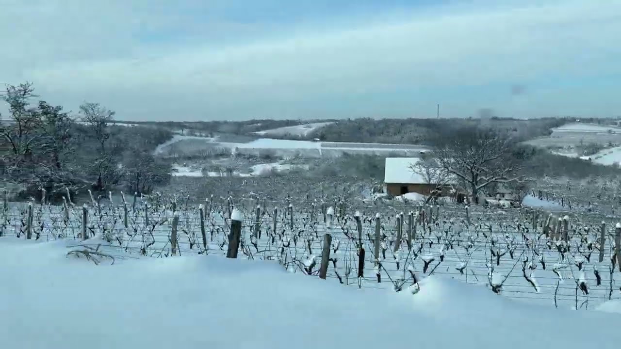 #8 Wine Cold Stabilisation / Hladna Stabilizacija Vina