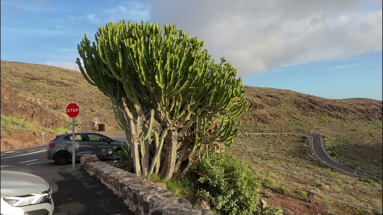 VIAJE POR EL SUR Y EL CENTRO DE GRAN CANARIA 03-01-2026