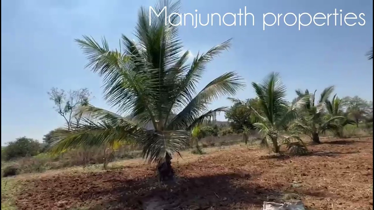 ID#622 1acer coconut 🌴🌴 farm land Red Soil North facing property 1borewell 💦 visiting charges 1000rs