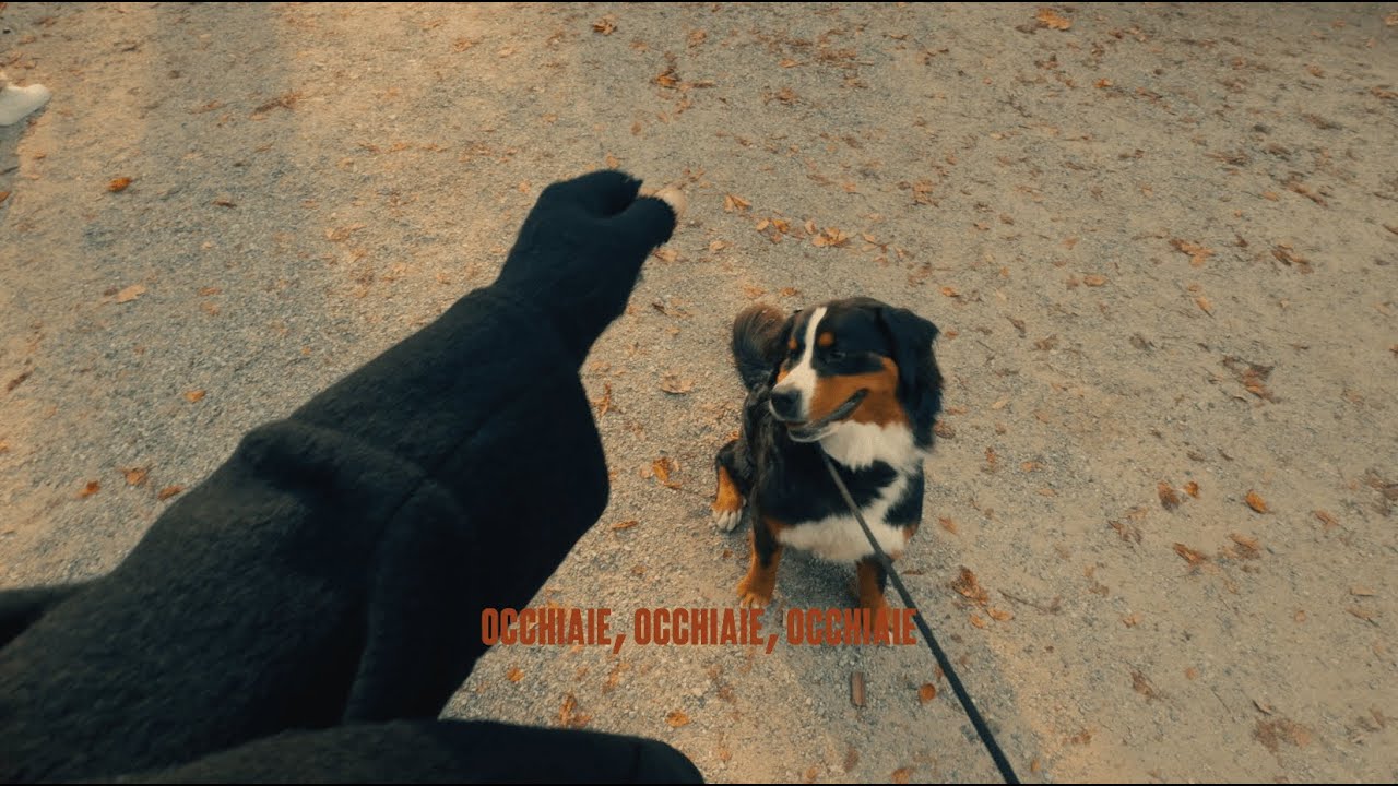Carl Brave - OCCHIAIE (Official Video)