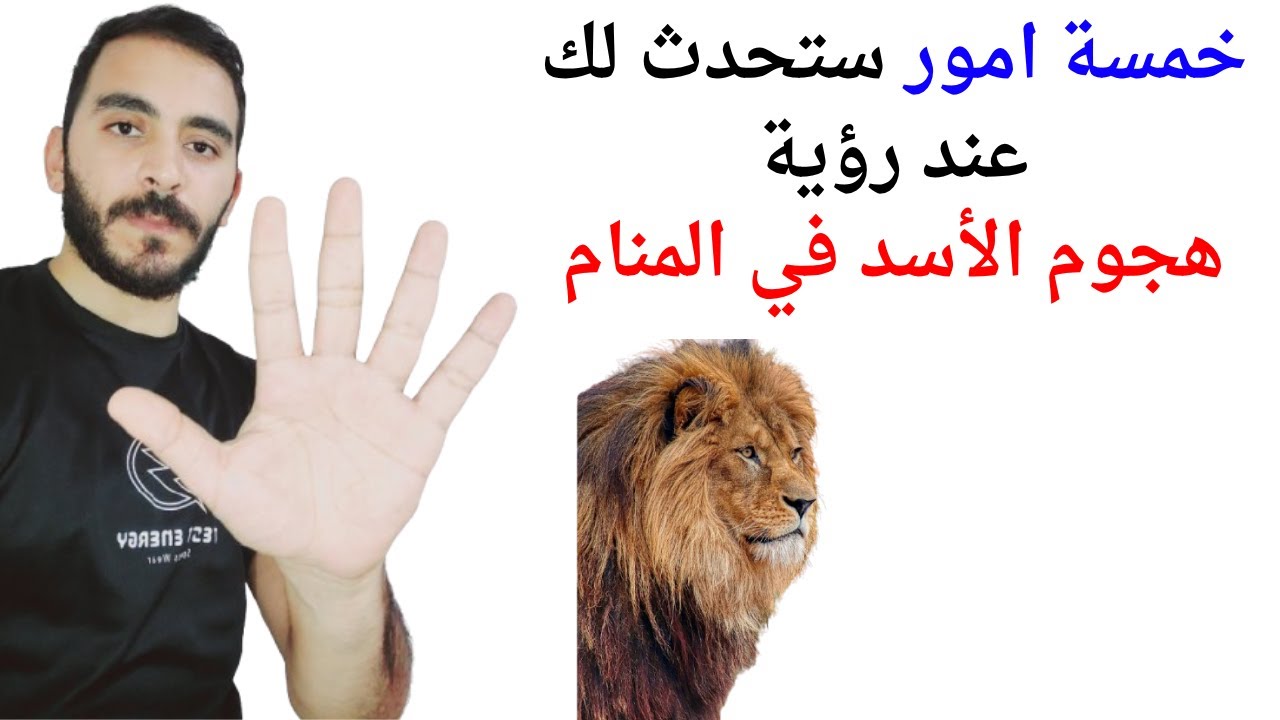 خمسة اشياء ستحدث لك عند رؤية هجوم الأسد في المنام l تفسير حلم رؤية هجوم الاسد في المنام بالتفصيل