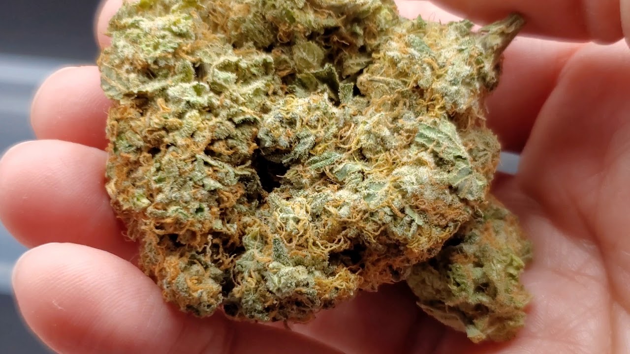 Mail Order Marijuana Unboxing Video- CAMMP Online Dispensary