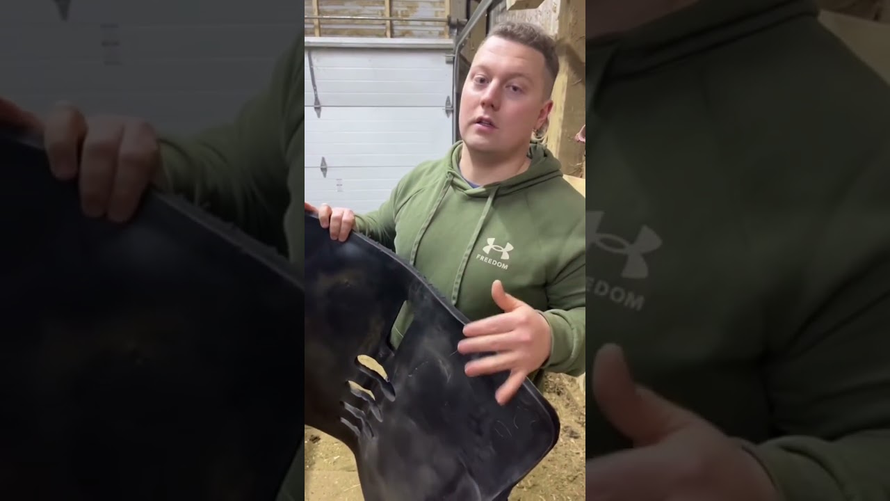 Our favorite style saddle pad! #horseriding #horses #aqha #reininghorse #horselover #horse #reining
