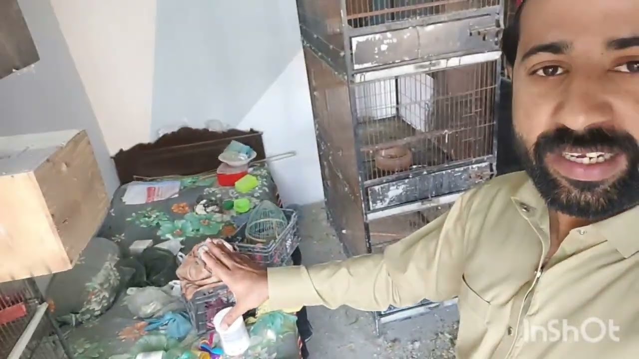 Today Birds Room Cleaned