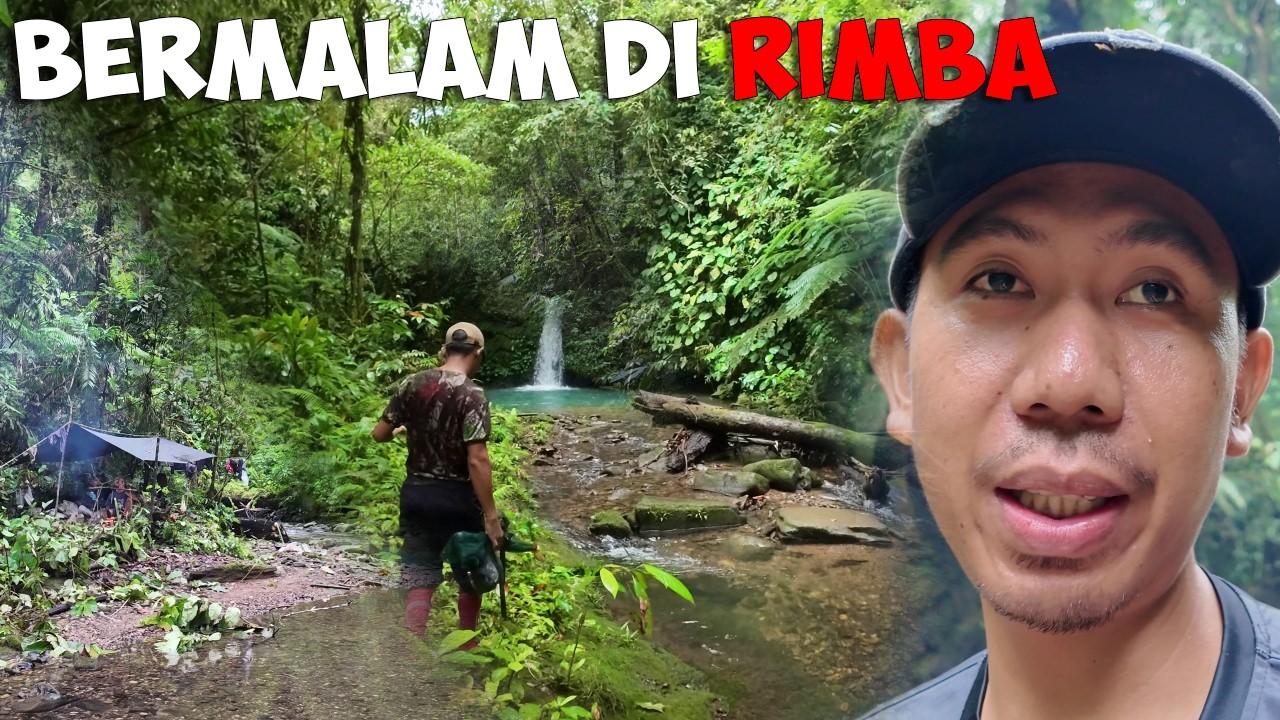 Menjelajah Hutan Rimba Belantara Fishing Camp Memeriksa Sarang Lebah Liar 
