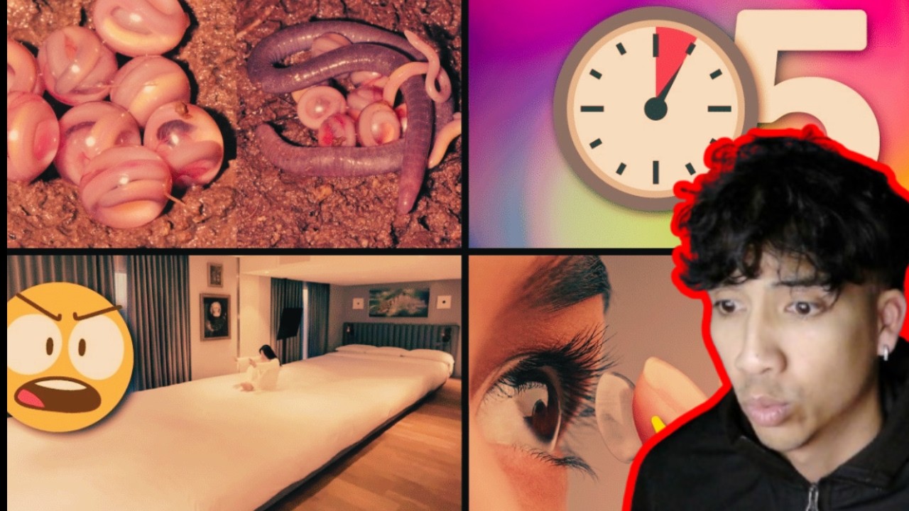 25 cosas increíbles que no sabías (explicadas en 5 minutos)