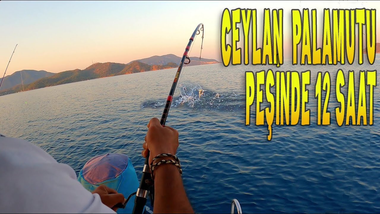 Fethiye de Ceylan Palamutu Peşinde | Heyecan Dolu Balık Avı!