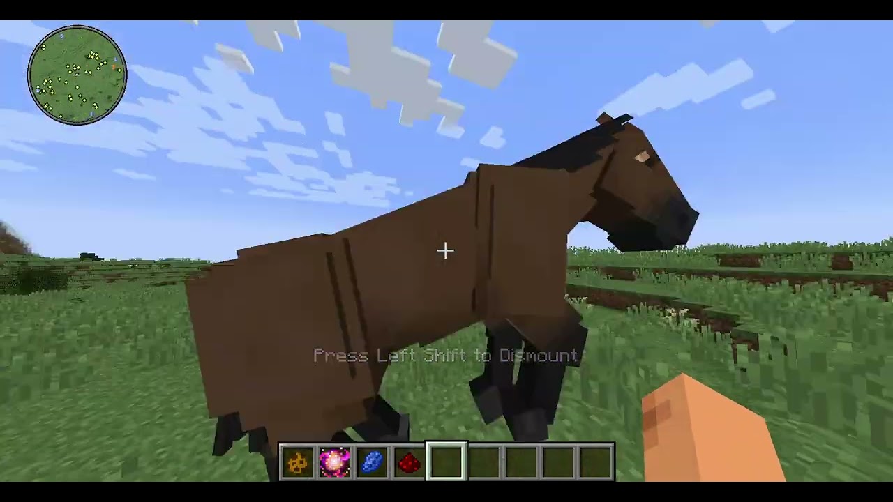 how to change a coat for a horse in swem