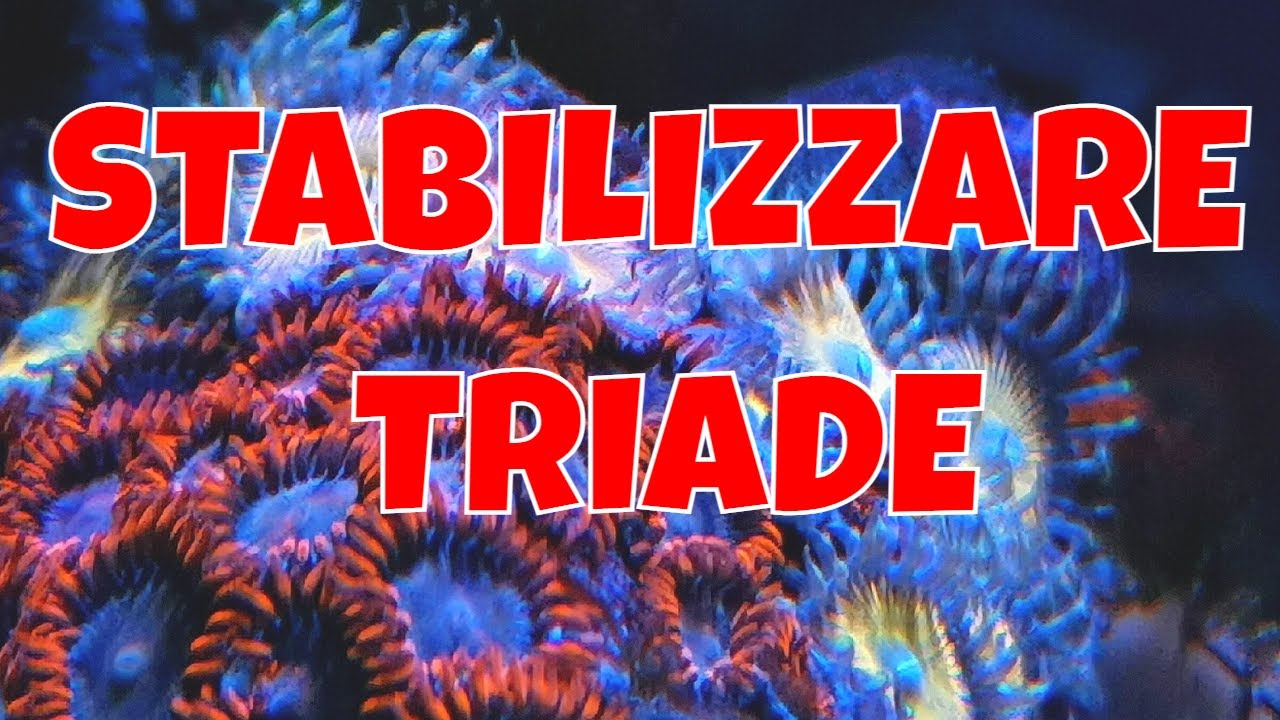 TRIADE ACQUARIO MARINO - Come Stabilizzare la Triade