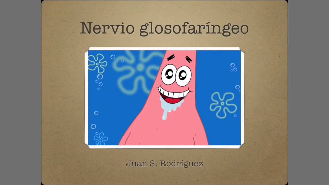 Pares craneales 9: Nervio glosofaríngeo