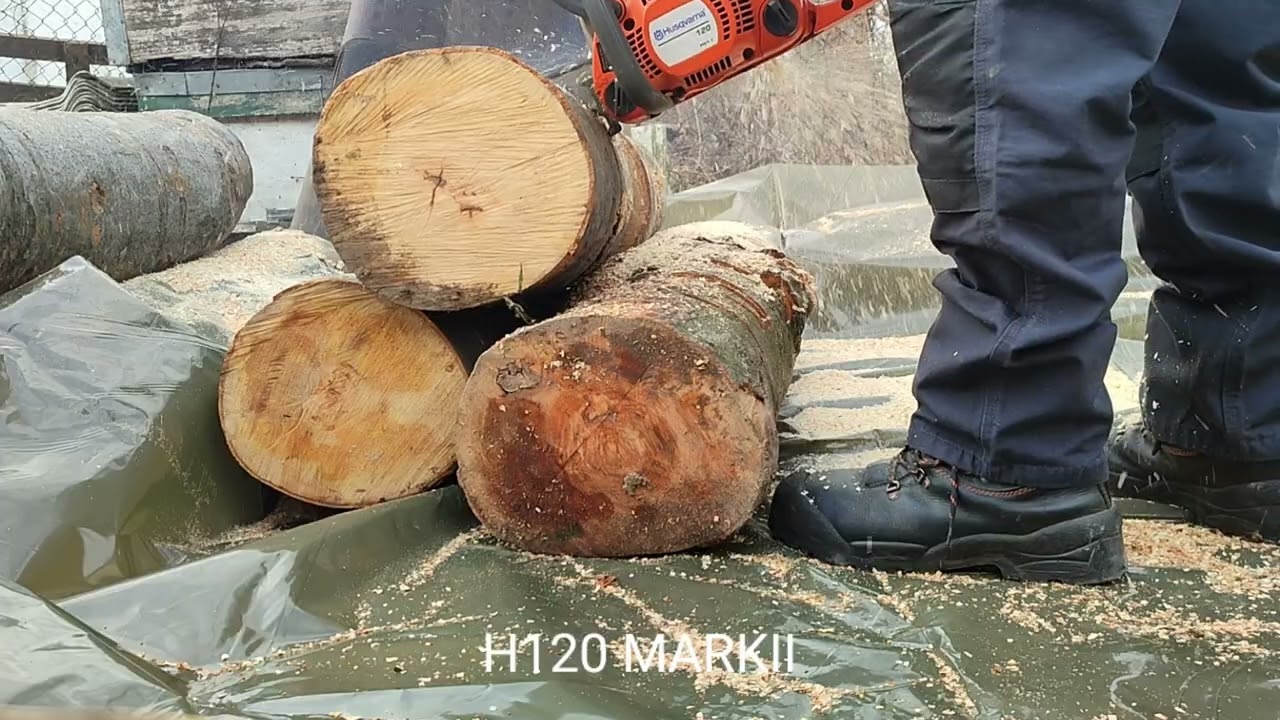 H120 MARKII, OLEOMAC GSH56, H365