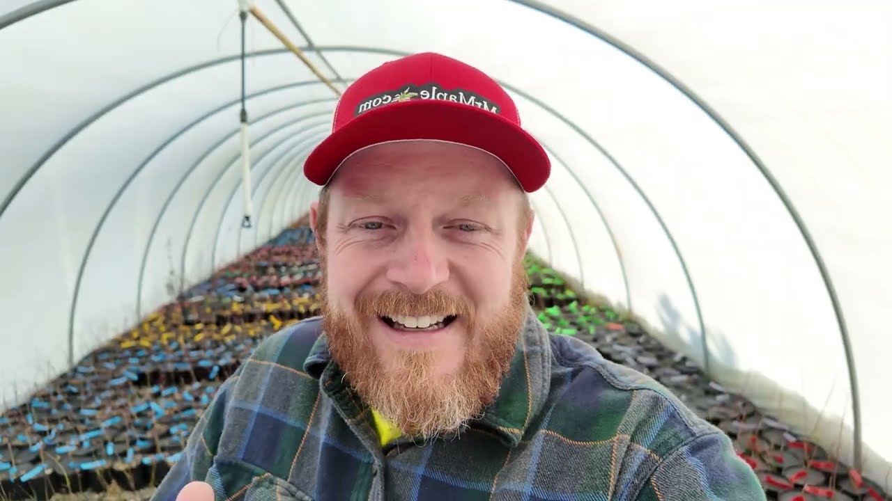 Редкие сорта клена и эксклюзивные сведения! Частная экскурсия по нашей секретной теплице в Mr. Ma...