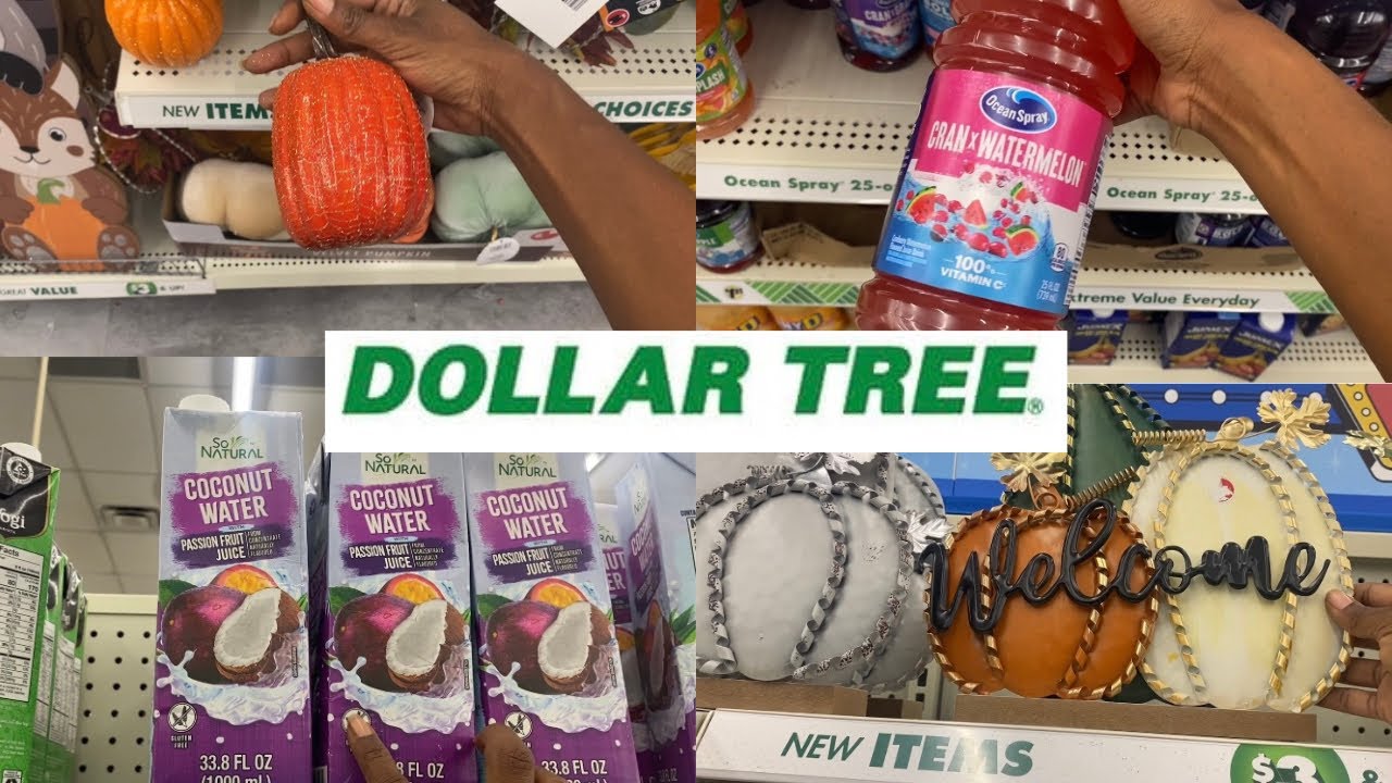 DOLLAR TREE SHOP WITH ME 🛒  | DOLLAR TREE FALL FINDS & SNACK HAUL 🛍️