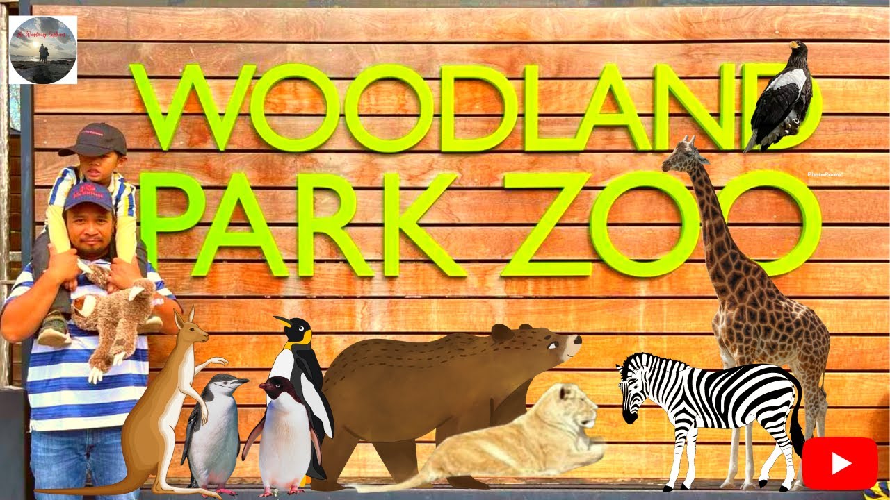Visiting Woodland Park Zoo, Seattle Washington #zoo #usa #travel  #seattle #woodland