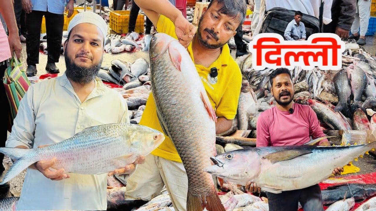 दिल्ली का सबसे सस्ता मछली मार्केट | ग़ाज़ीपुर मछली बाजार |Ghazipur  Fish Market RRRM| 