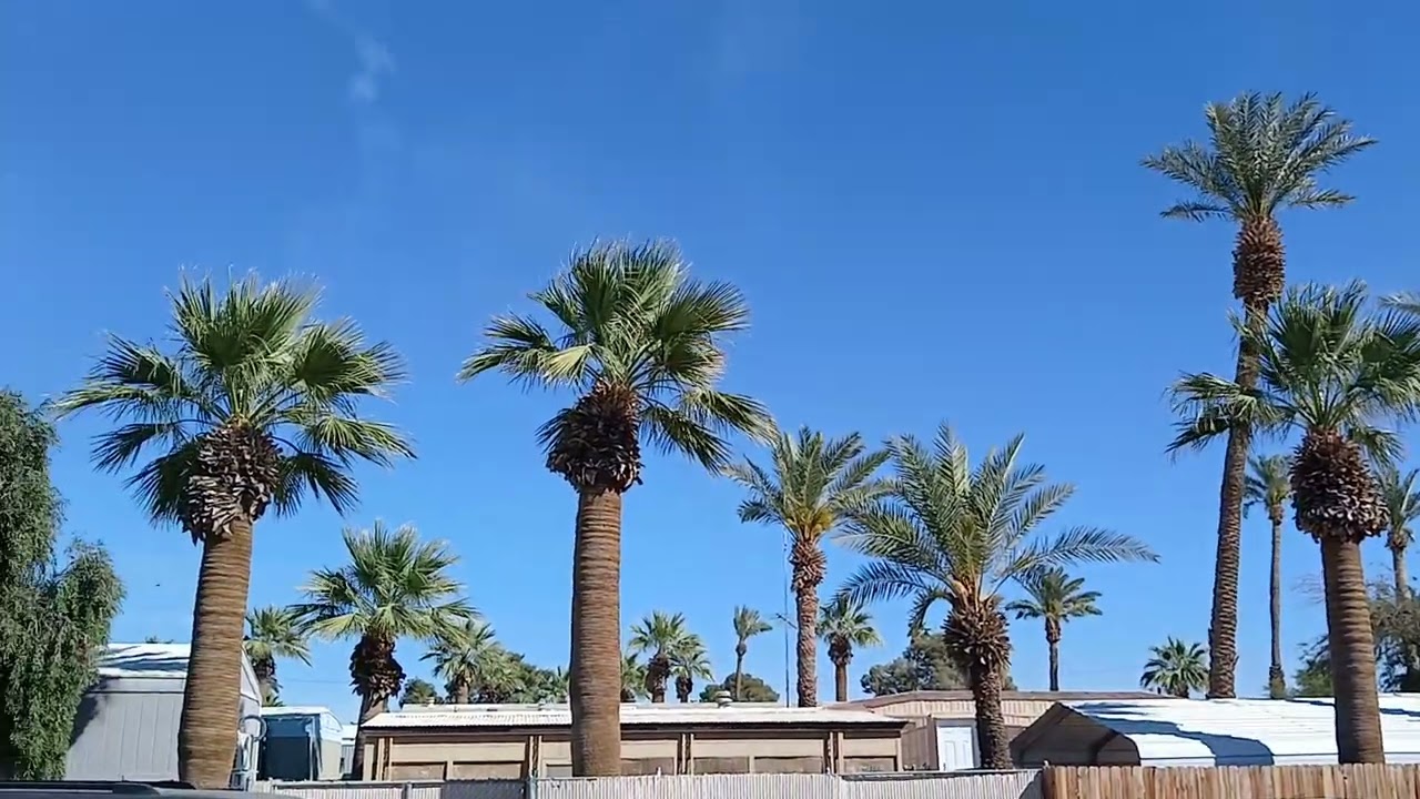 BLUE ANGELS 