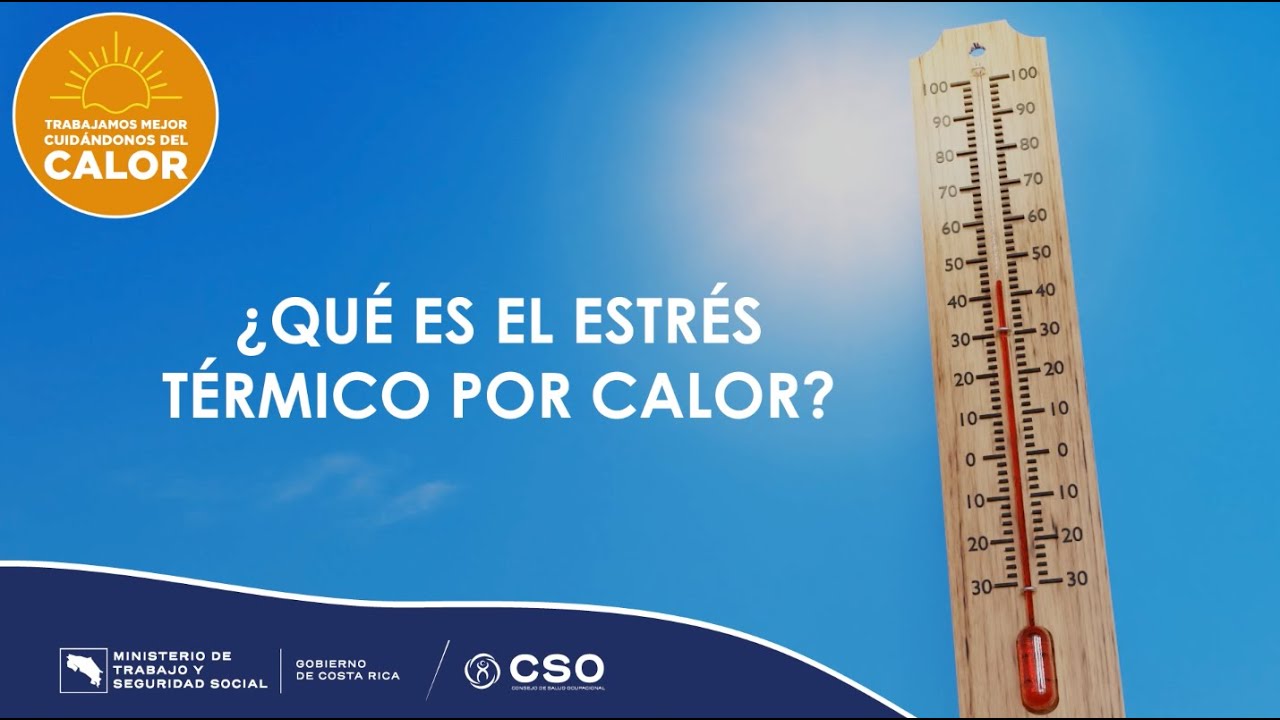 &iquest;Qu&eacute; es el estr&eacute;s t&eacute;rmico por calor y qu&eacute; consecuencias tiene?