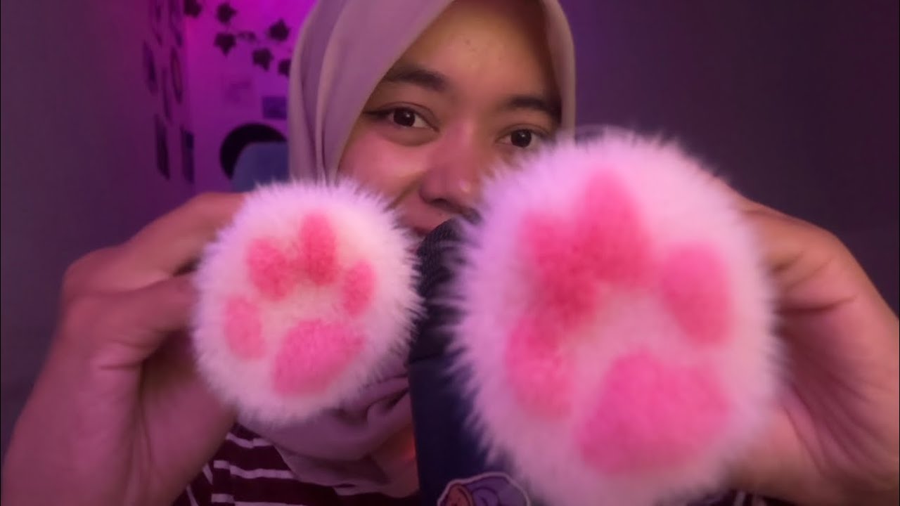 My New Triggers ASMR Paw Brush 🐾