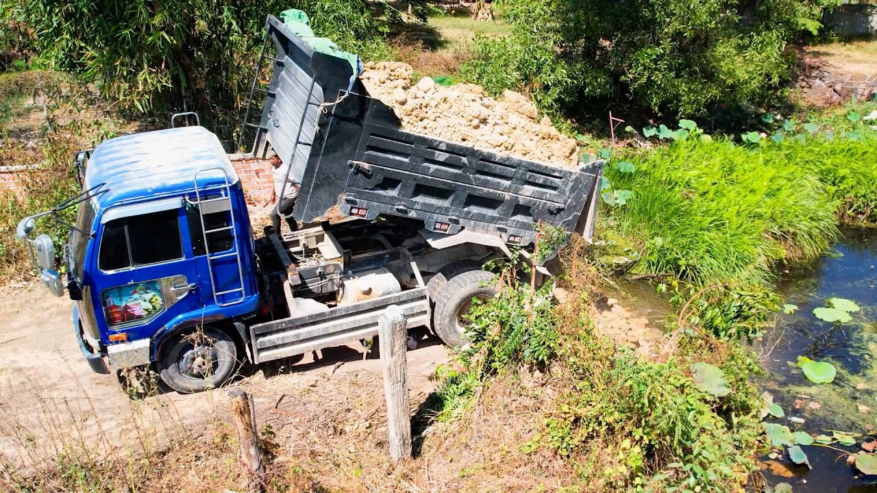 Dump truck unload soil in the deep pond with dozer push forest and soil into water