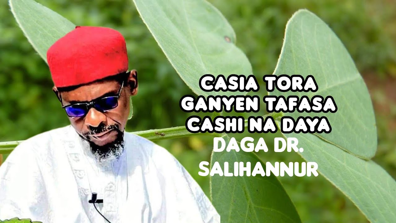 Dr.Salihannur Sabon Karatu Akan Ganyen Tafasa Tahanyar Da Zaka Magance Matsalar Jikinka Da Kanka