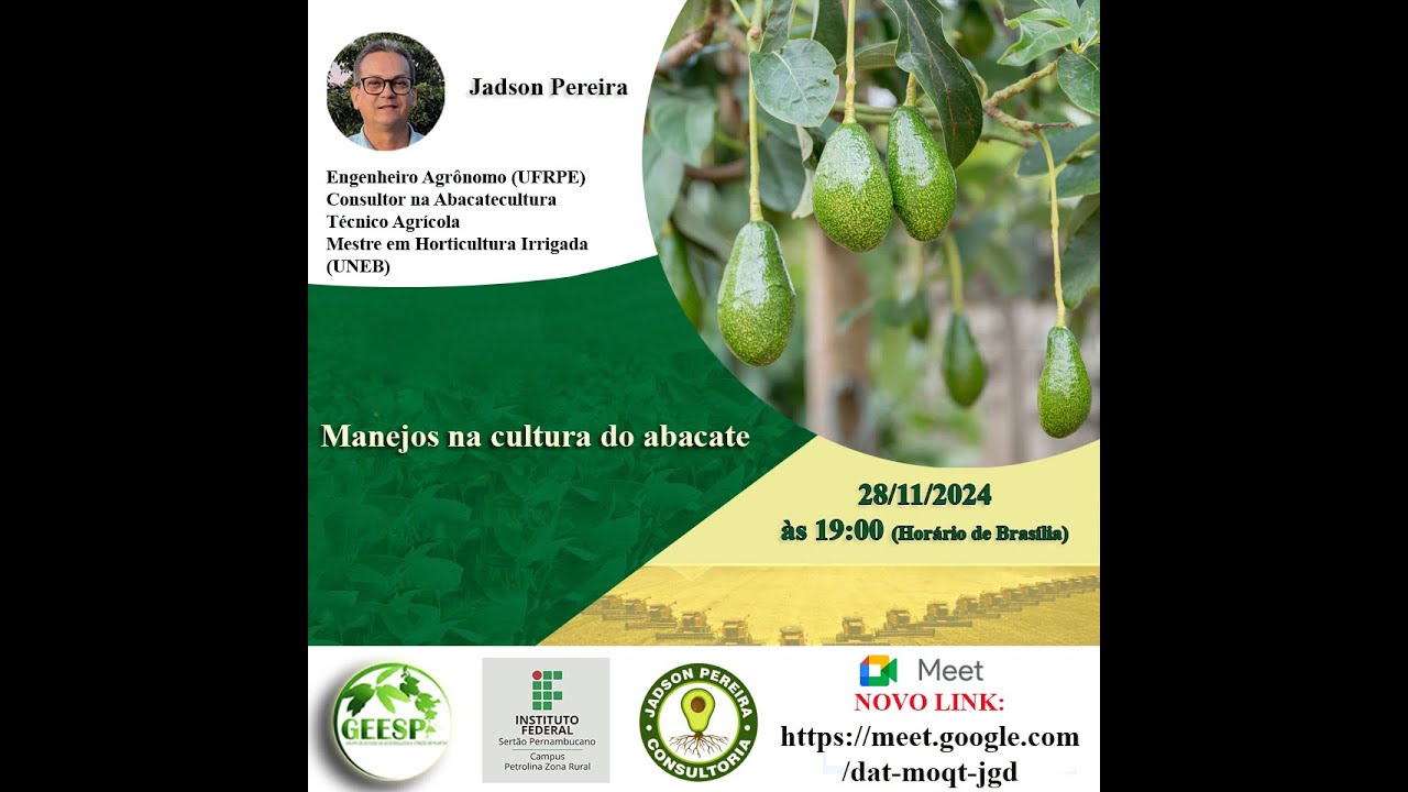 Manejos na cultura do abacate - Participação Consultor Jadson Pereira