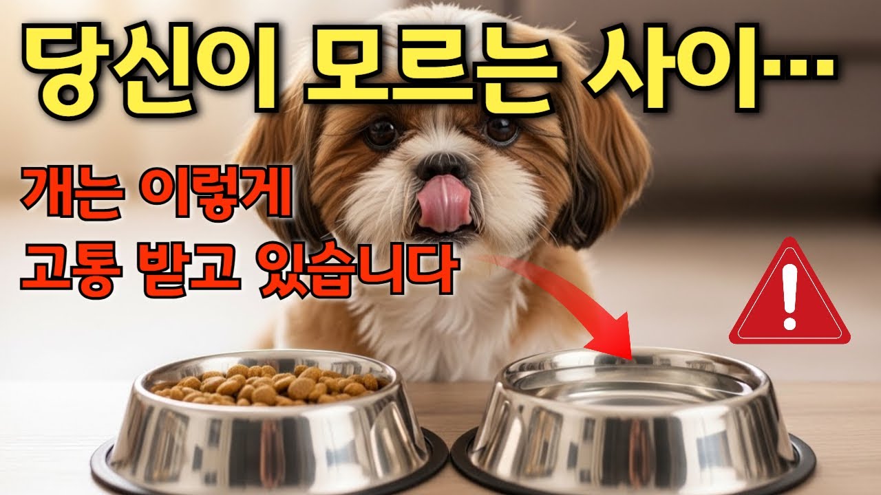 반려견의 수명을 줄이는 보호자의 실수 15가지! | 대부분의 개가 이걸로 고통받아요