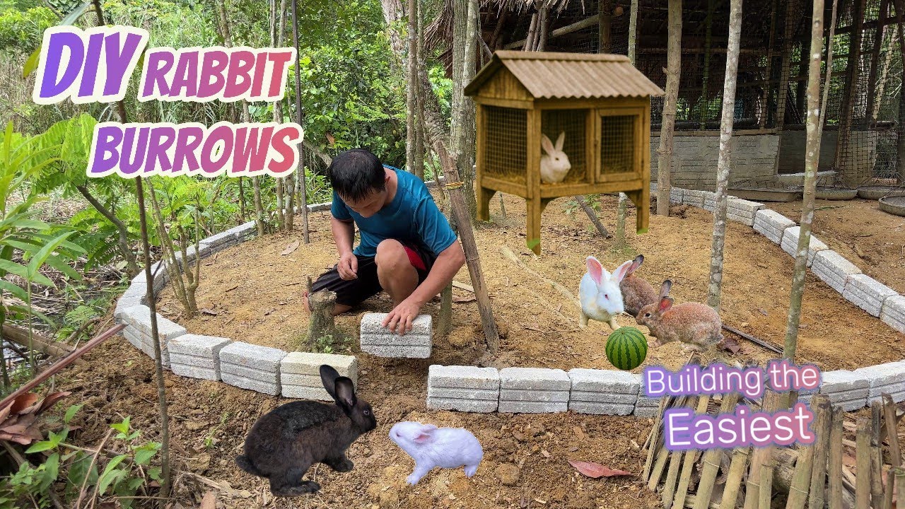 DIY Backyard Rabbit Burrows Made Easy | CEO Leaves City for Woods Life