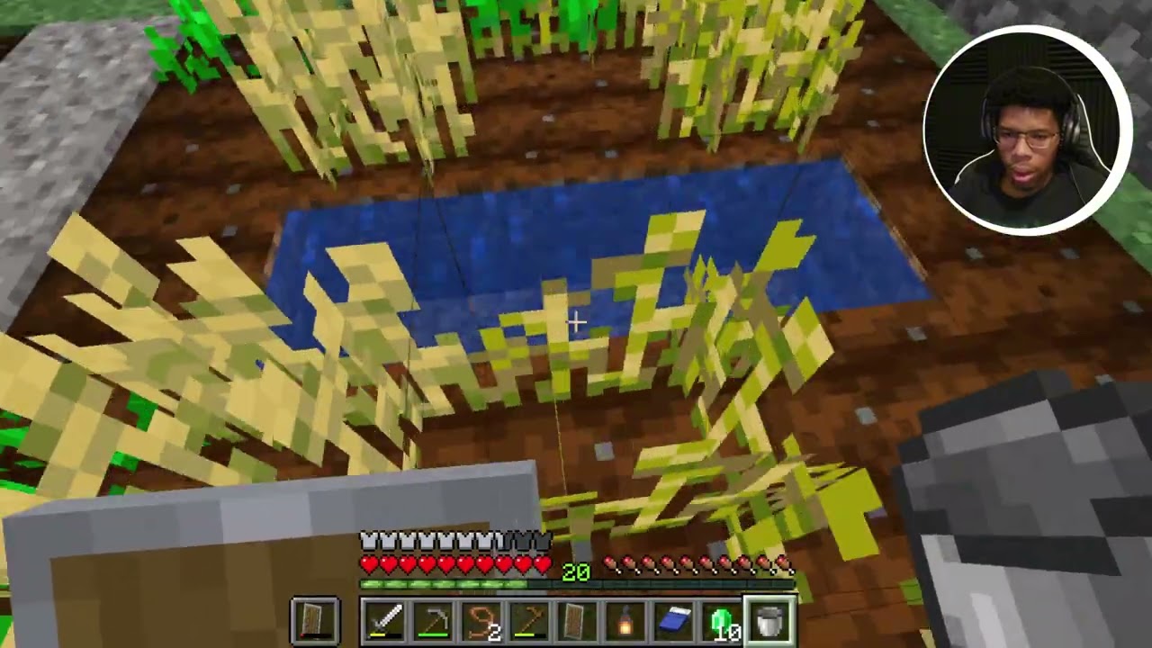 Minecraft Survival Part 11