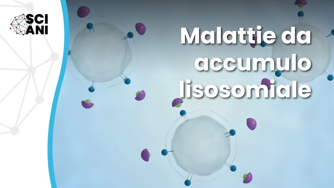 Che cosa sono le malattie da accumulo lisosomiale?
