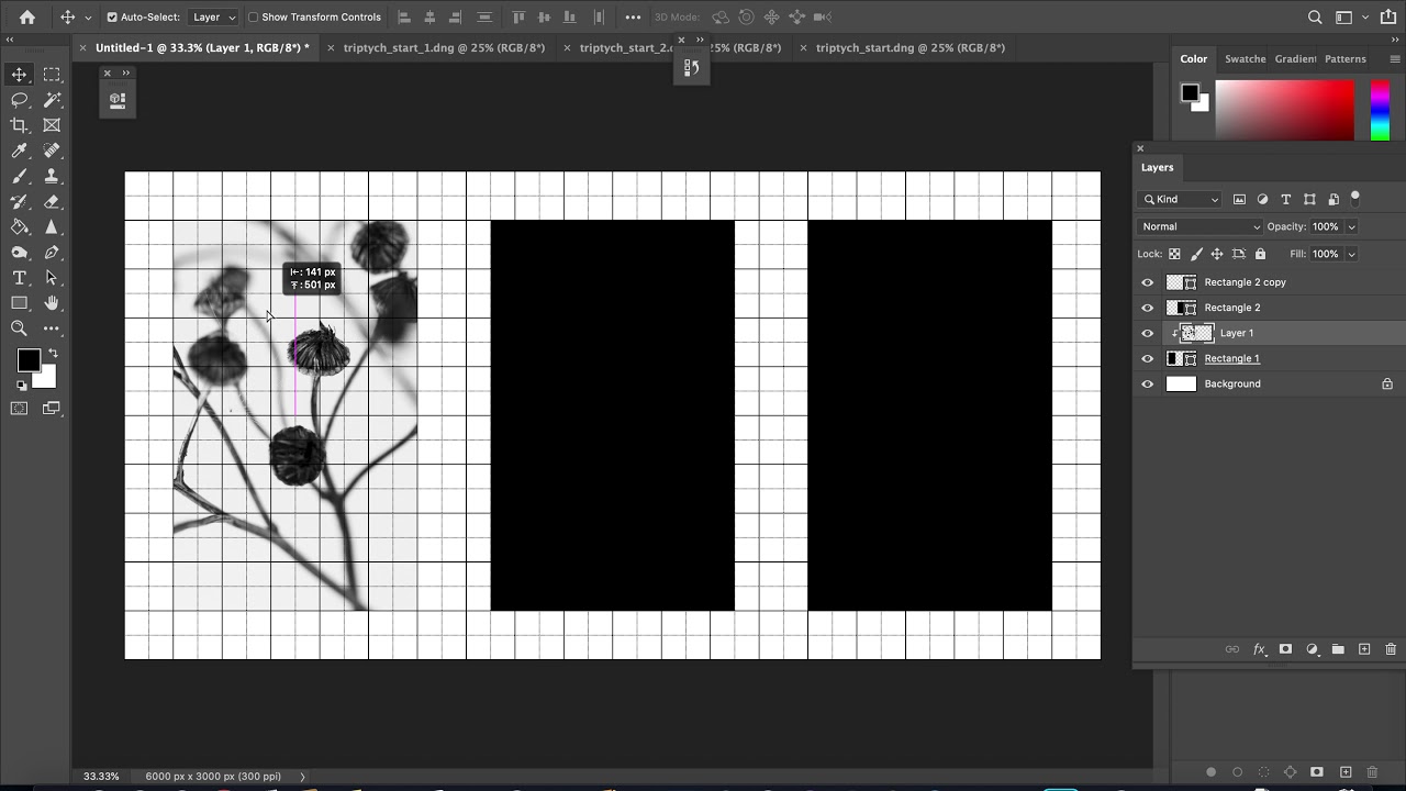 Creating a Triptych in Photoshop