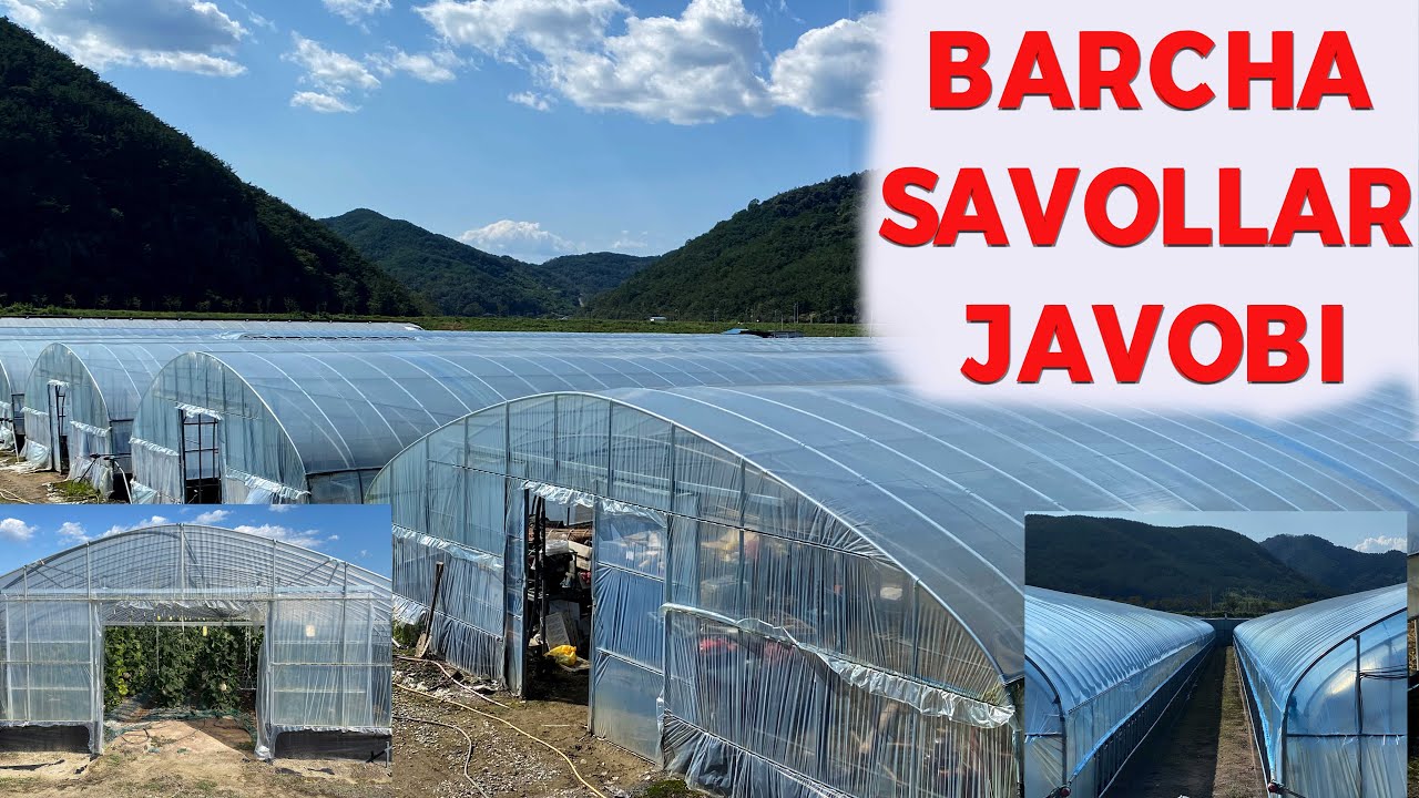ИССИҚХОНА ҲАҚИДА ТЎЛИҚ МАЪЛУМОТЛАР НАРХИ ВА ТУРЛАРИ #agro