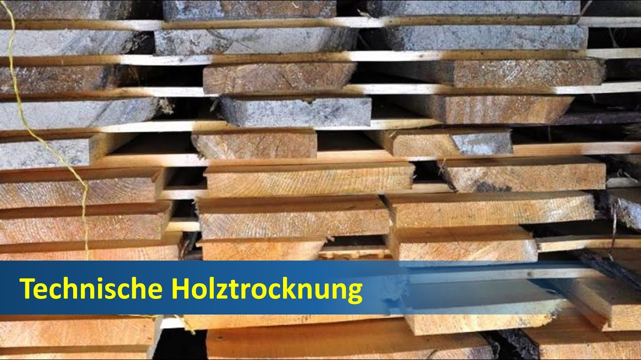 Holztrocknung: Wie trocknet man Holz?