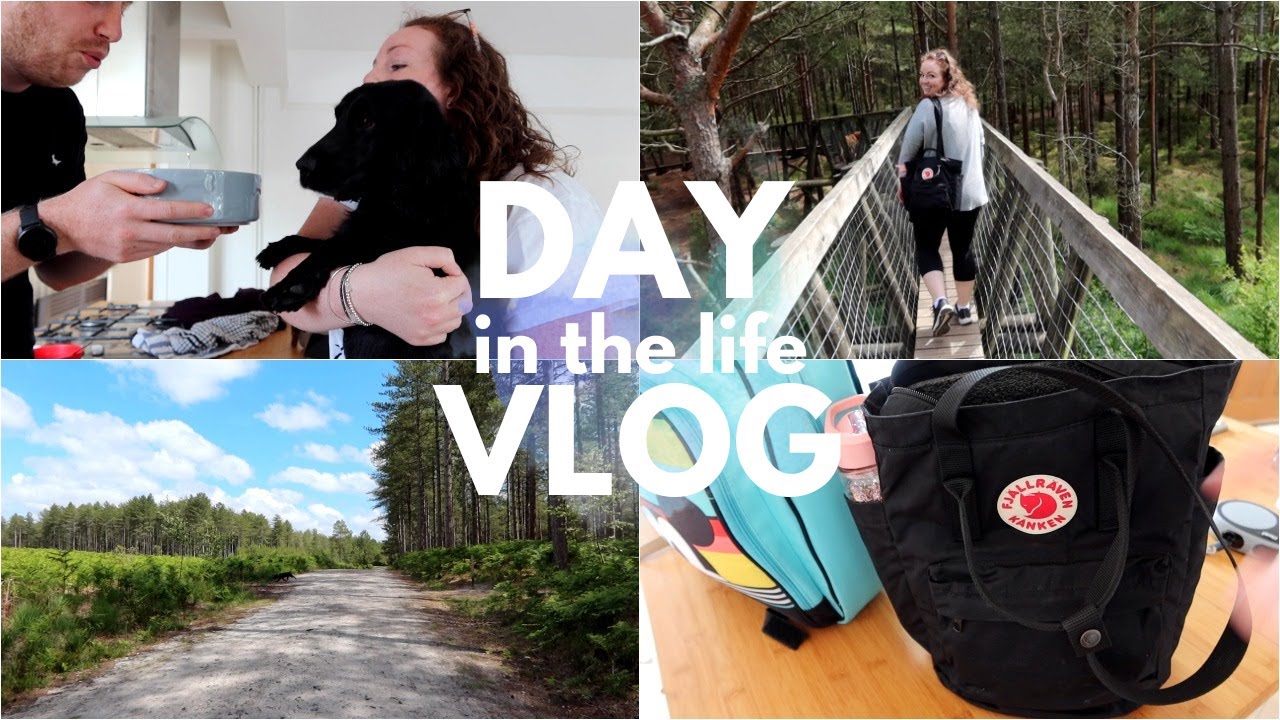 Bonnie's Birthday Vlog 🐾🌲 Forest Walk, Picnic & Dog Cake! • Cocker Spaniel Day In The Life