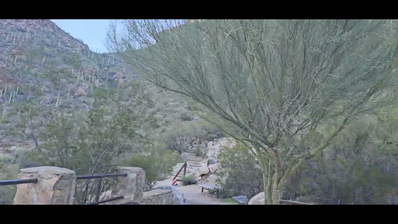 Can passengers get off the Sabino Canyon shuttle during the tour?|Jolly Hikers Hiking in  Tucson, AZ