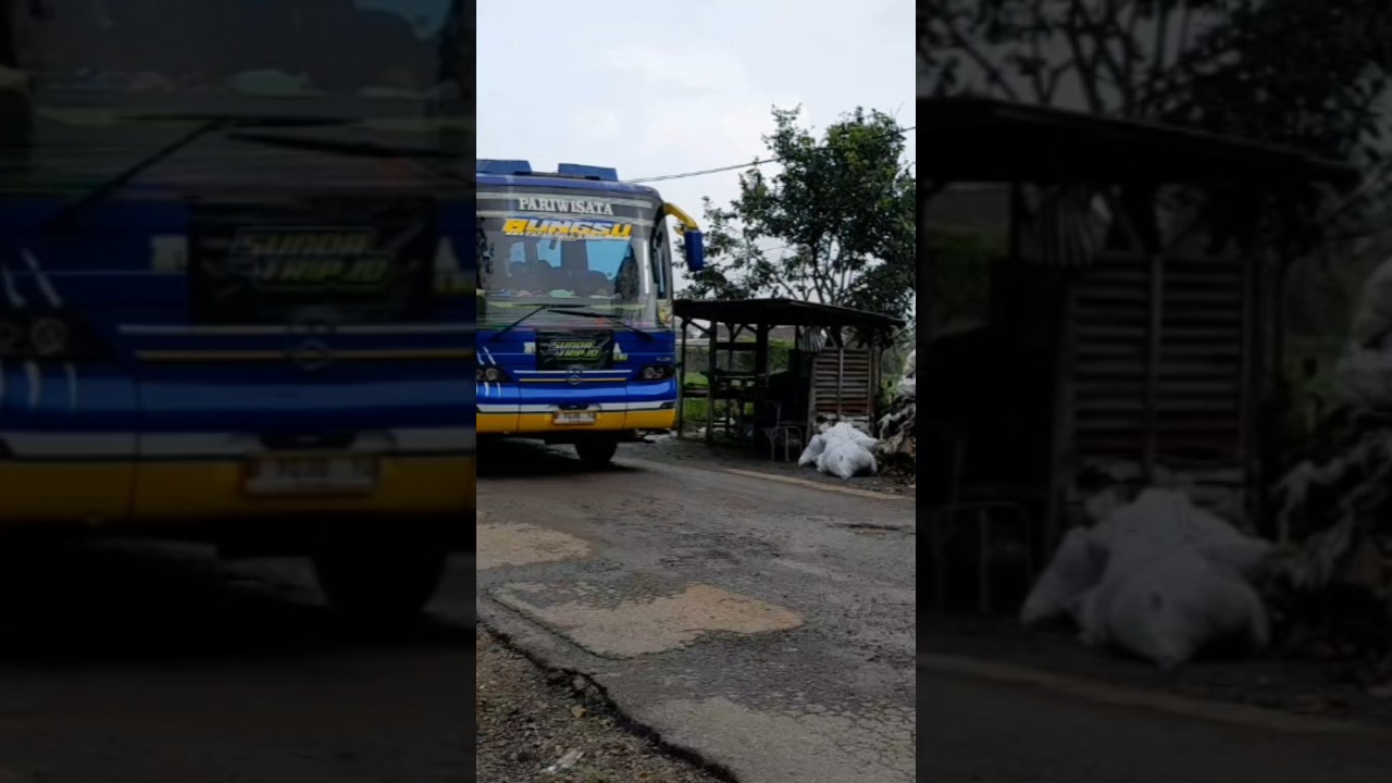 BIS LEGEND YANG MASIH AKTIP MENGHIBUR MANIA #basuri #bislegend #busmania #buspariwisata