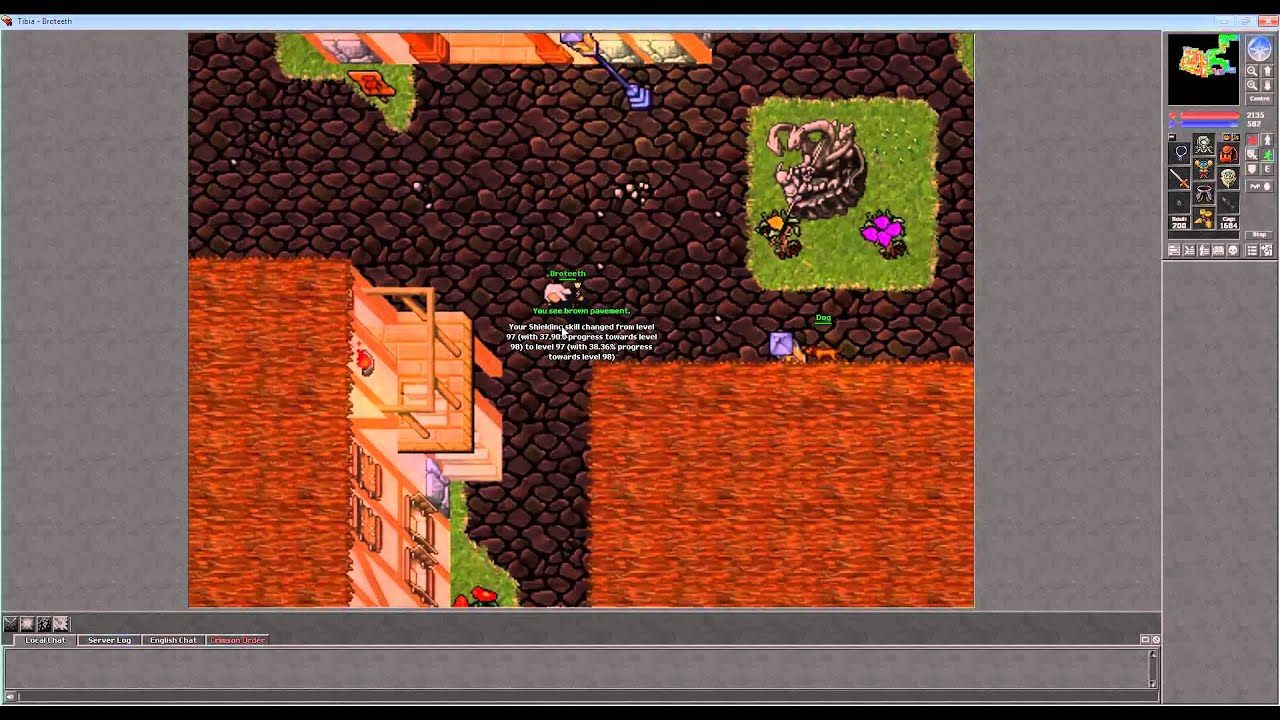 Tibia - Broteeth's House (Edron Wood Avenue)