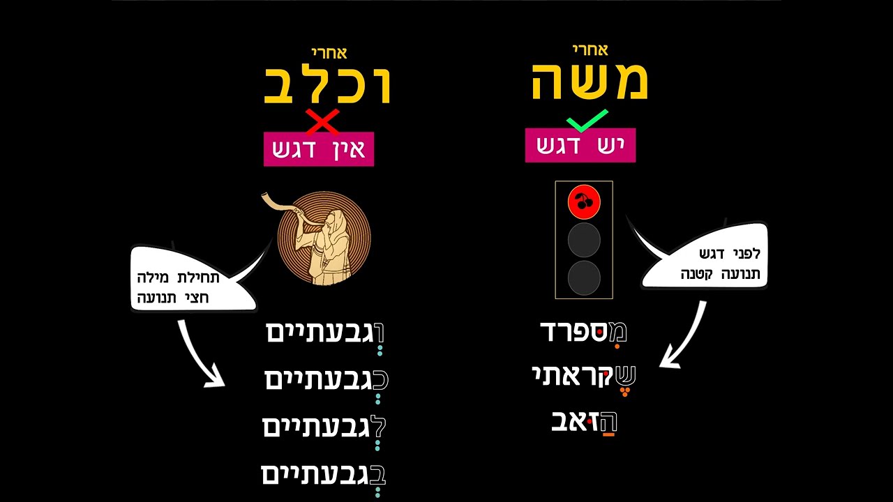ניקוד אותיות השימוש: משה מכניס וכלב מוציא