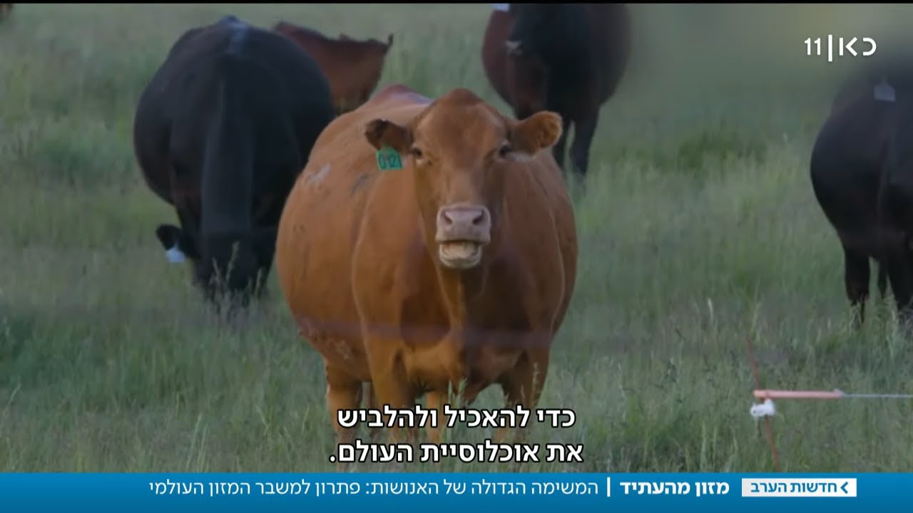 מה נאכל כשתיגמר הקרקע - ואיך פותרים את משבר המזון?