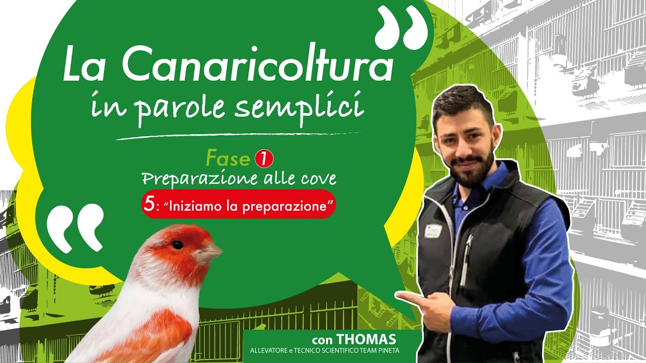 La Canaricoltura in Parole Semplici - 1.5 Iniziamo la PREPARAZIONE
