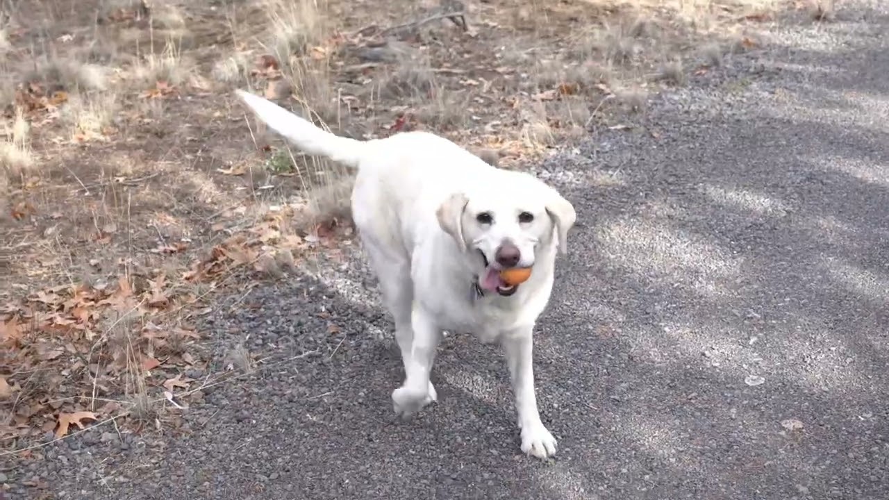 Kiley Regains Her Sight After Cataract Surgery