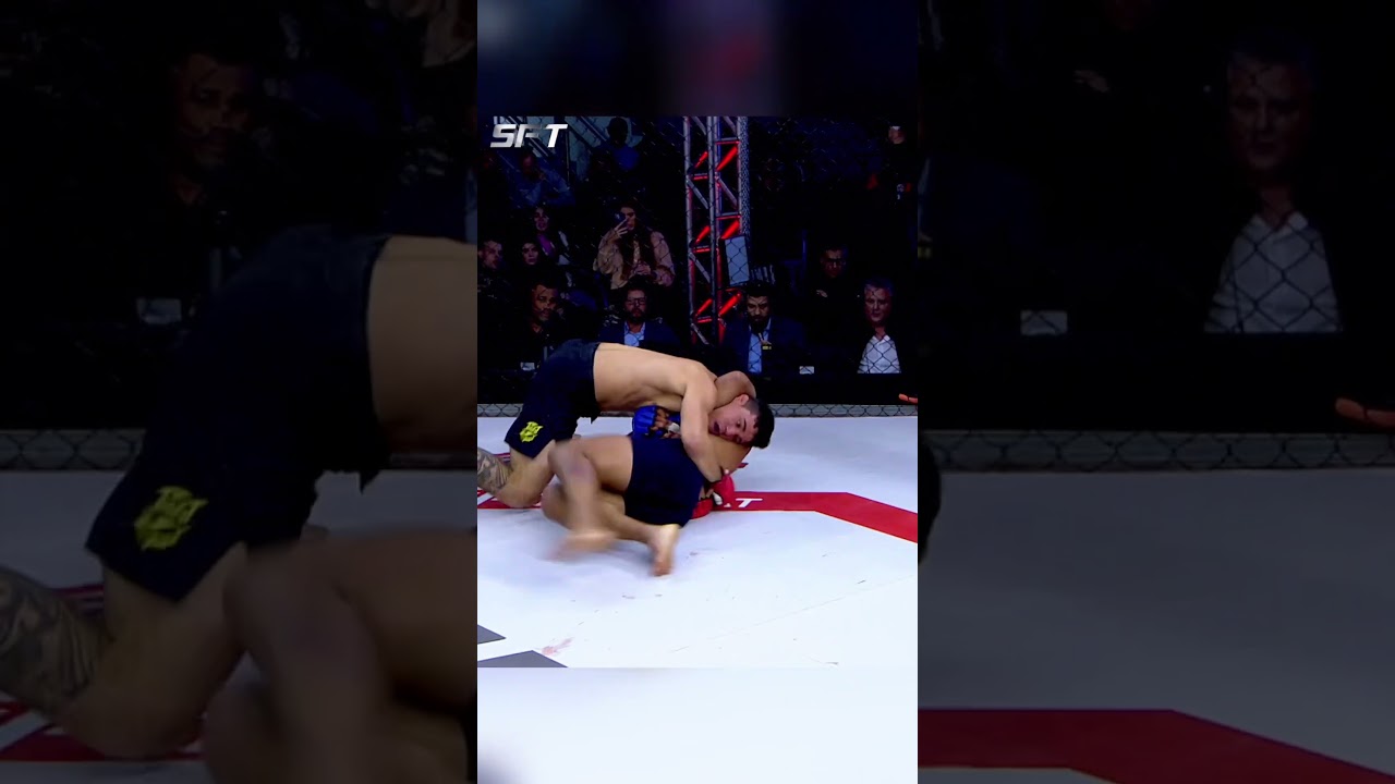 Technique and power in MMA! 