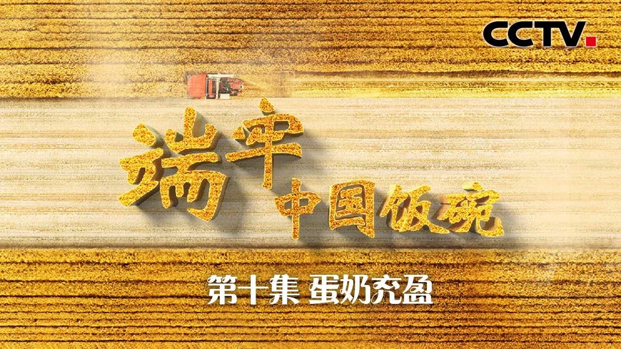 纪录片《端牢中国饭碗》 第10集 蛋奶充盈 | CCTV「端牢中国饭碗」
