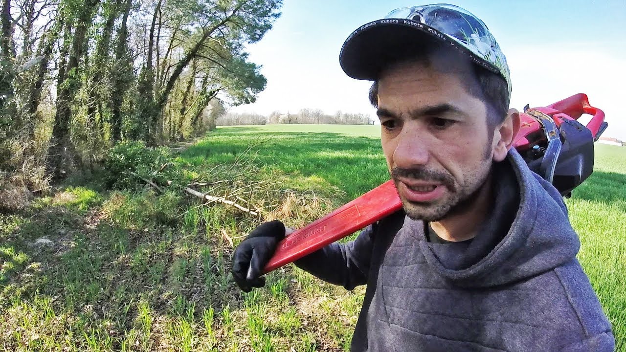 Débitage d'un arbre mort tombé dans une parcelle - 2019