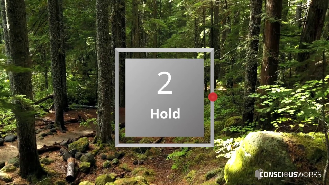 Box Breathing &ndash;&nbsp;1 minute in length