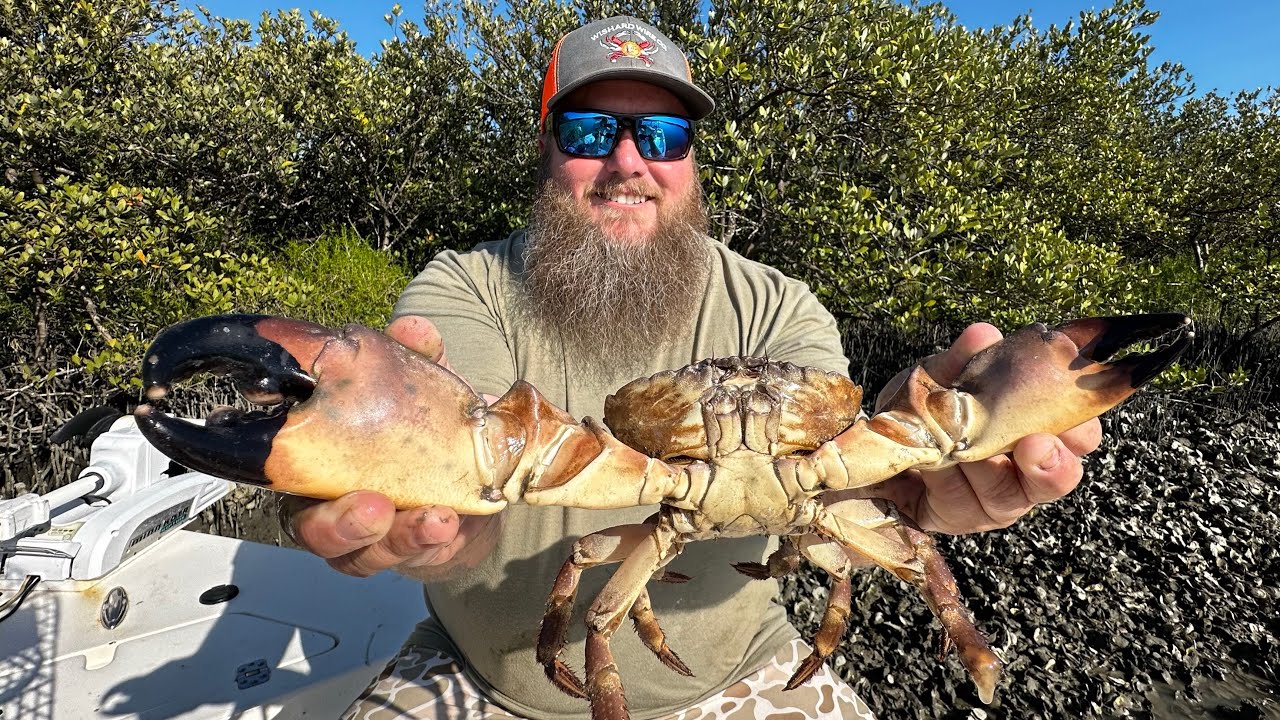 Florida’s most expensive SEAFOOD!!! Our CRAB traps were LOADED!! ~Catch, Clean, Cook~