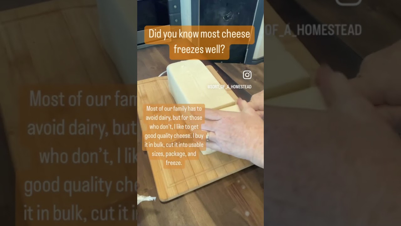 Bulk Cheese from Azure Standard